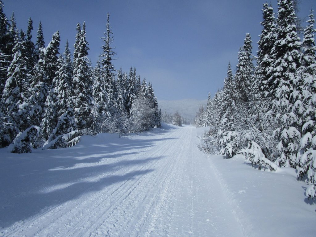 Enjoy the pleasures of winter in Québec with pictures | Sécuritour